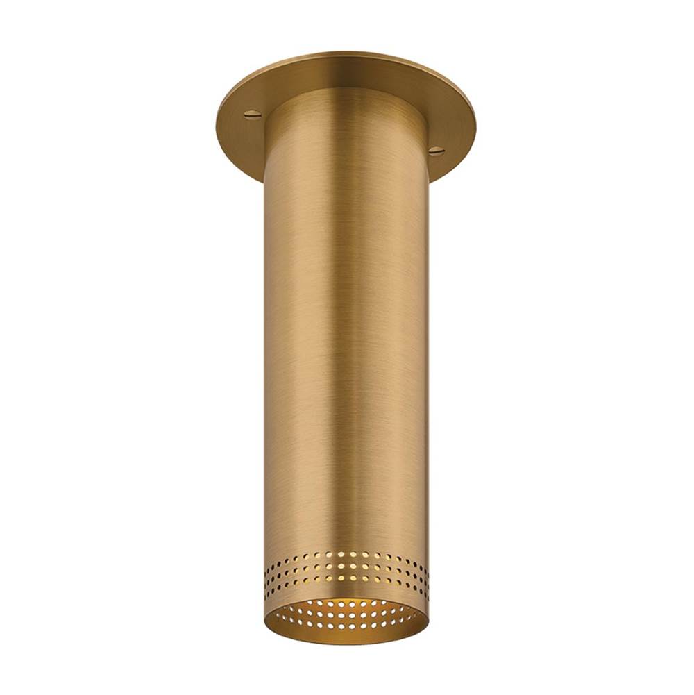Troy Lighting Berg Flush Mount