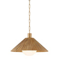 Troy Lighting Woodside Pendant