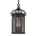 Troy Lighting Los Olivos Los Olivos Lantern