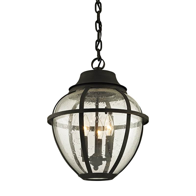Troy Lighting Bunker Hill Bunker Hill Lantern