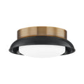 Troy Lighting Arnie Flush Mount