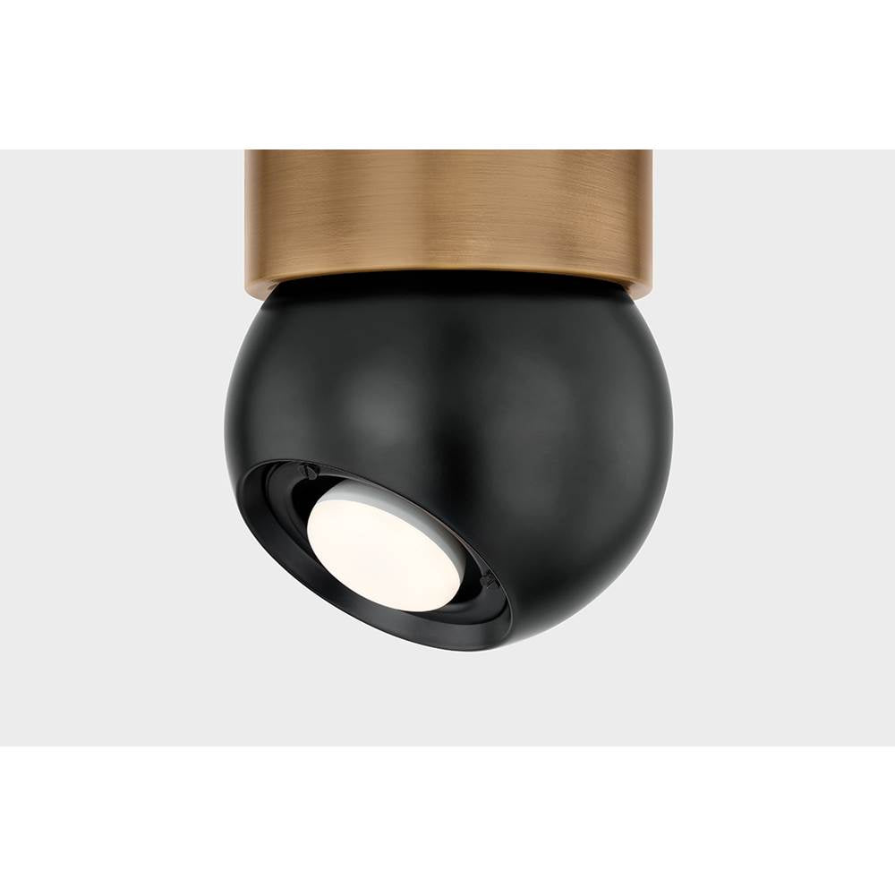 Troy Lighting Odin Flush Mount