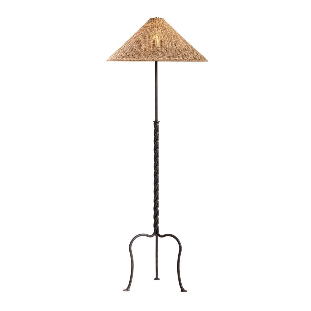 Troy Lighting Francisco Floor Lamp