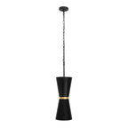 Varaluz Mad Hatter Mad Hatter 2-lt   Pendant - Matte Black/french Gold