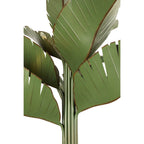 Varaluz 901C12 Banana Leaf Banana Leaf 12-lt Chandelier - Banana Leaf Image 2
