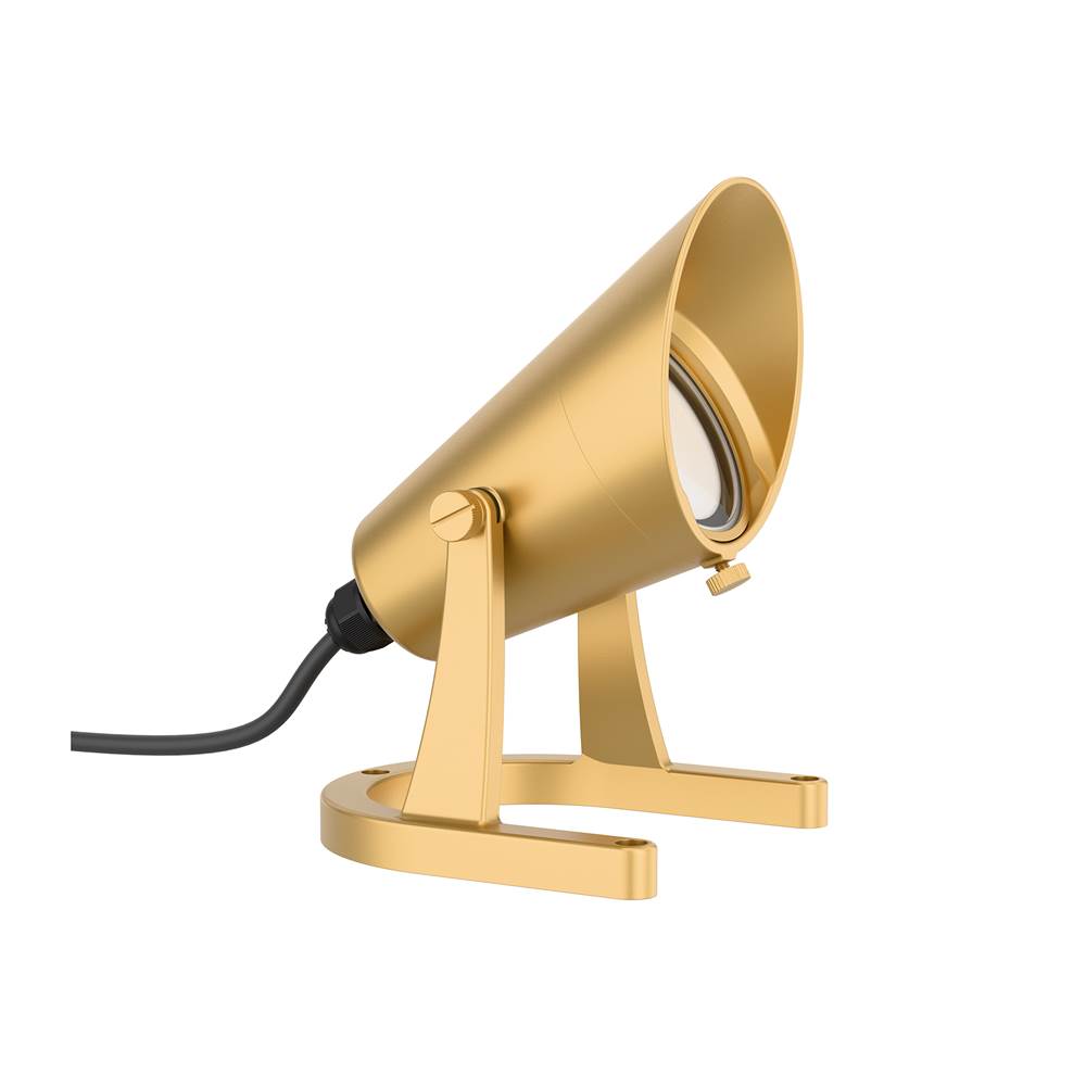 WAC Lighting Five Thousand Five Hundred Eleven Smart Color Changing Led Landscape Underwater Light Natural Brass