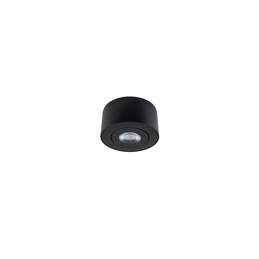 WAC Lighting Peek Outdoor Flush Mount Light