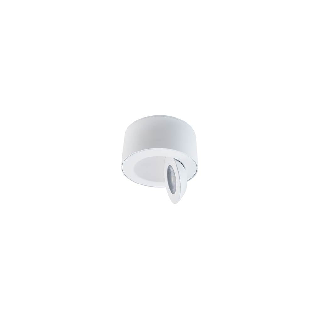 WAC Lighting Peek Outdoor Flush Mount Light