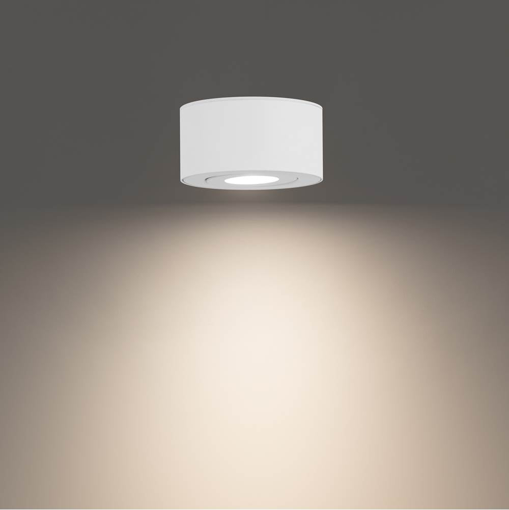 WAC Lighting Peek Outdoor Flush Mount Light