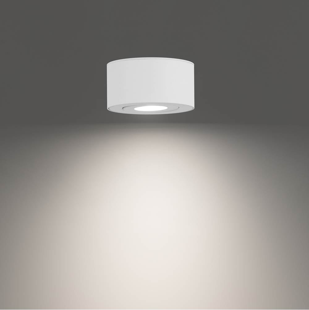 WAC Lighting Peek Outdoor Flush Mount Light