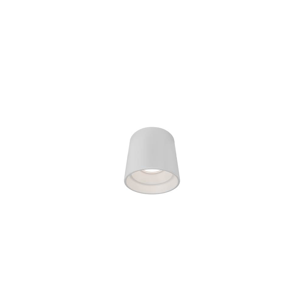 WAC Lighting Downtown Outdoor Flush Mount Light