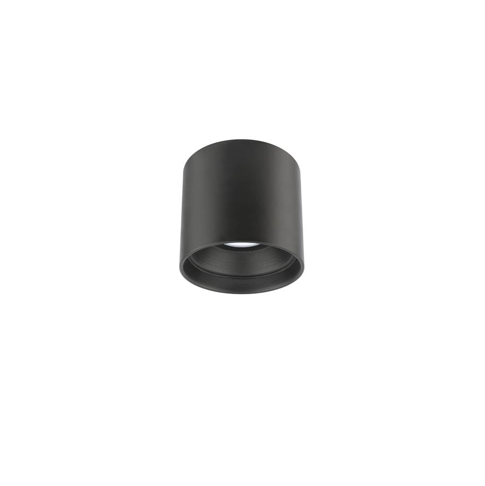 WAC Lighting Downtown Outdoor Flush Mount Light