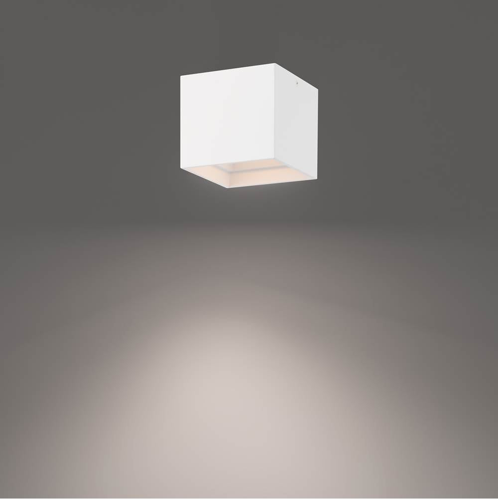 WAC Lighting Downtown Outdoor Flush Mount Light