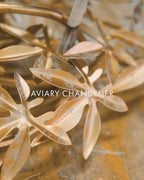 Currey And Company Aviary Gold Two-tier Chandelier