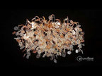 Eurofase Campobasso, Chandelier, 8-light, 26'', Gold, Mixed Glass