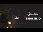 Eurofase Dendelio, Chandelier , 10-light, 45'', Matte Black